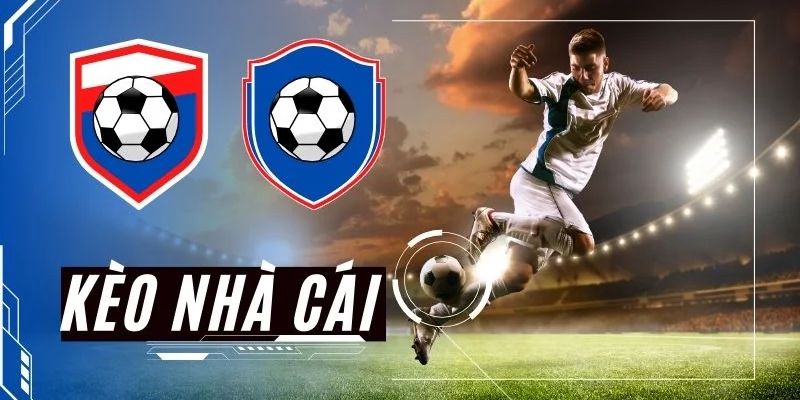 BTV Kèo Nhà Cái Những thành tựu nổi bật trong sự nghiệp của BTV Kèo Nhà Cái