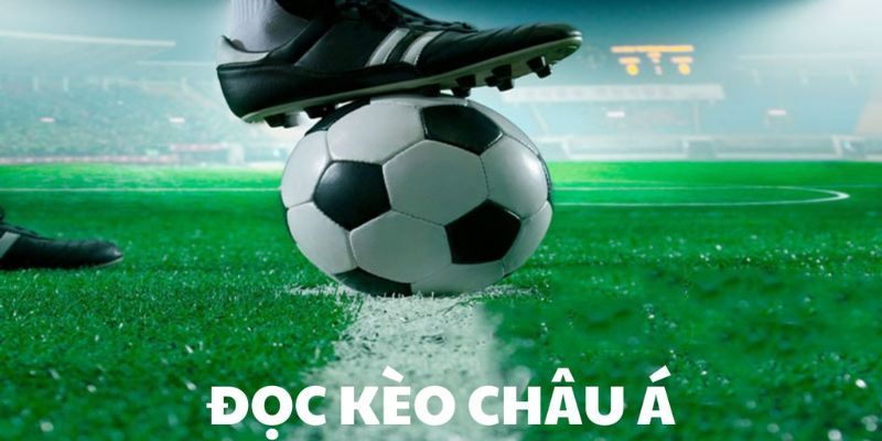 Kèo châu Á Cách đọc kèo chuẩn xác từ cao thủ