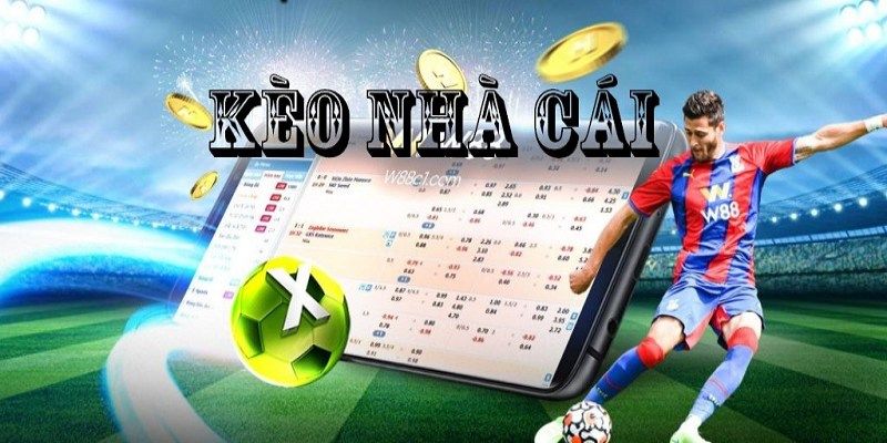 Kèo nhà cái fm88 Giới thiệu về kèo nhà cái fm88