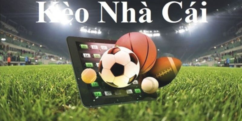 Kèo nhà cái net88 Giới thiệu về kèo nhà cái net88