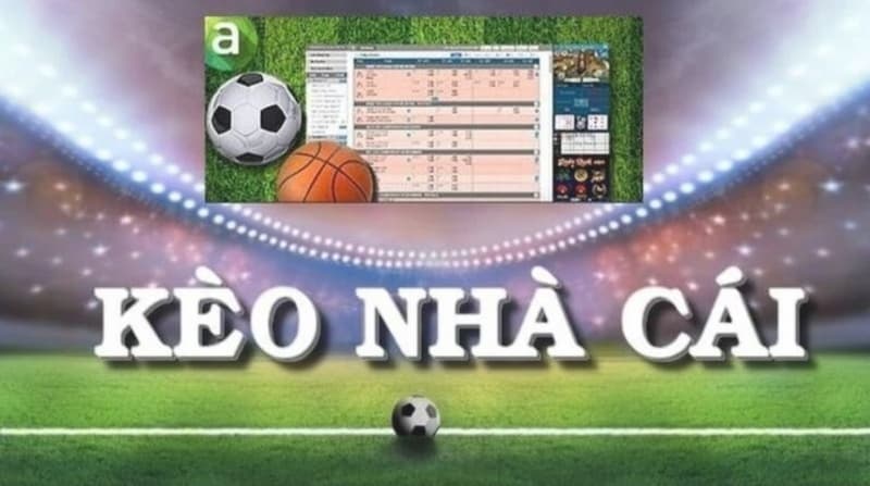 Vai trò của kèo nhà cái uy tín trong cá cược bóng đá hiện đại