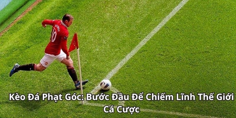 Tìm hiểu tổng quan về kèo phạt góc trong bóng đá