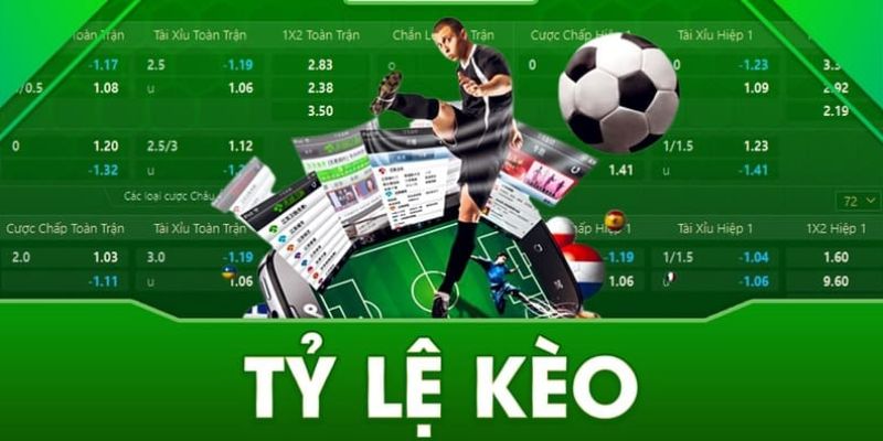 Tầm quan trọng của tỷ lệ cược bóng đá